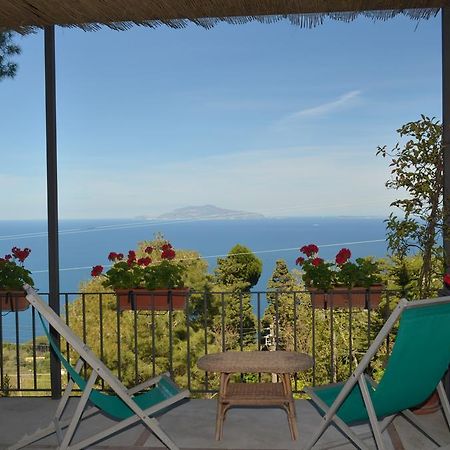 Le Ginestre Di Capri Bb & Holiday House 아나카프리 외부 사진