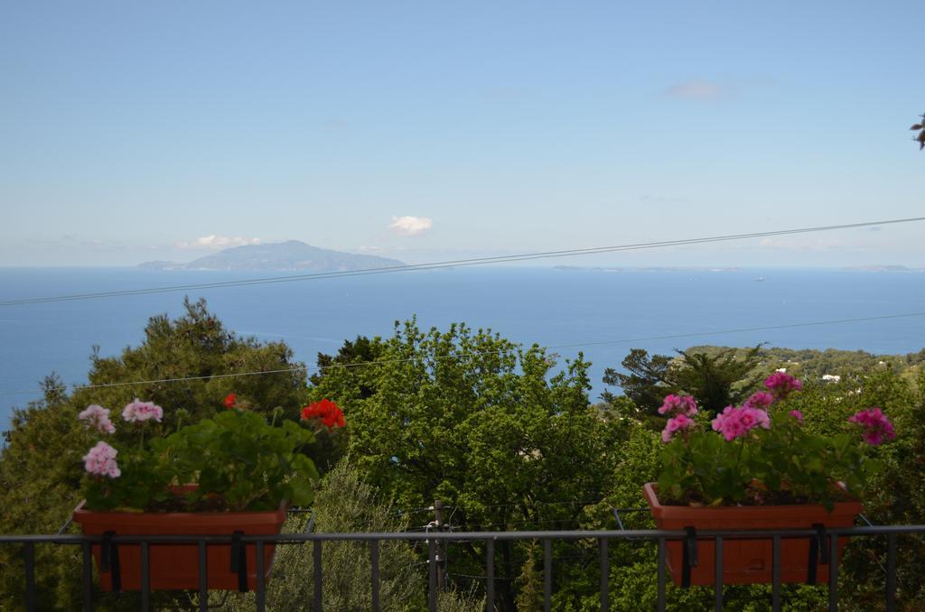 Le Ginestre Di Capri Bb & Holiday House 아나카프리 외부 사진