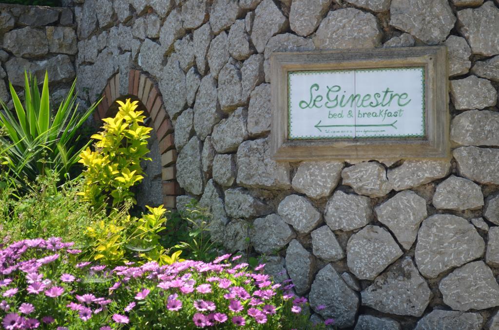 Le Ginestre Di Capri Bb & Holiday House 아나카프리 외부 사진