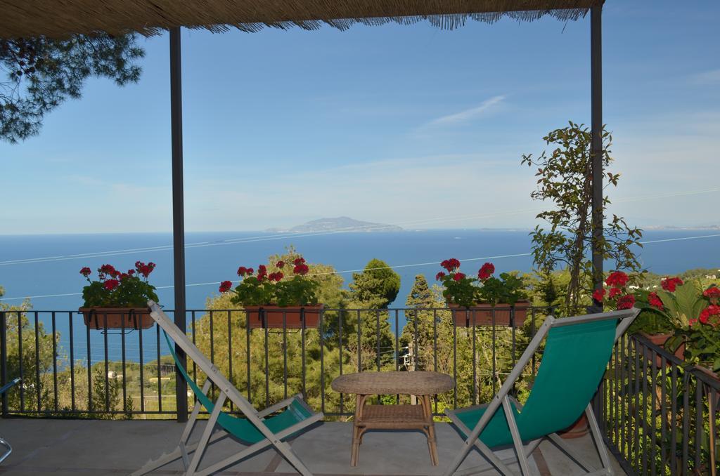 Le Ginestre Di Capri Bb & Holiday House 아나카프리 외부 사진