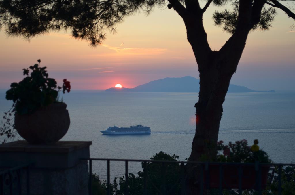 Le Ginestre Di Capri Bb & Holiday House 아나카프리 외부 사진