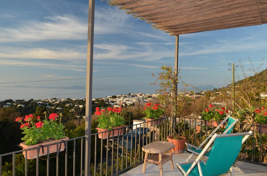 Le Ginestre Di Capri Bb & Holiday House 아나카프리 외부 사진