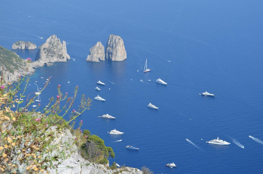 Le Ginestre Di Capri Bb & Holiday House 아나카프리 외부 사진