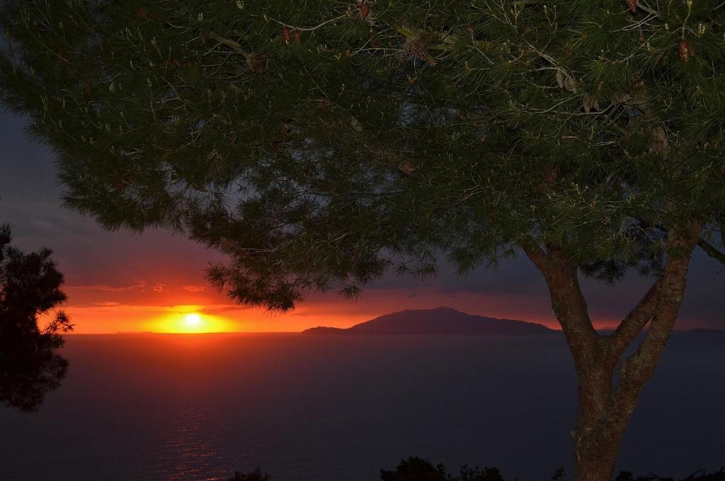 Le Ginestre Di Capri Bb & Holiday House 아나카프리 객실 사진