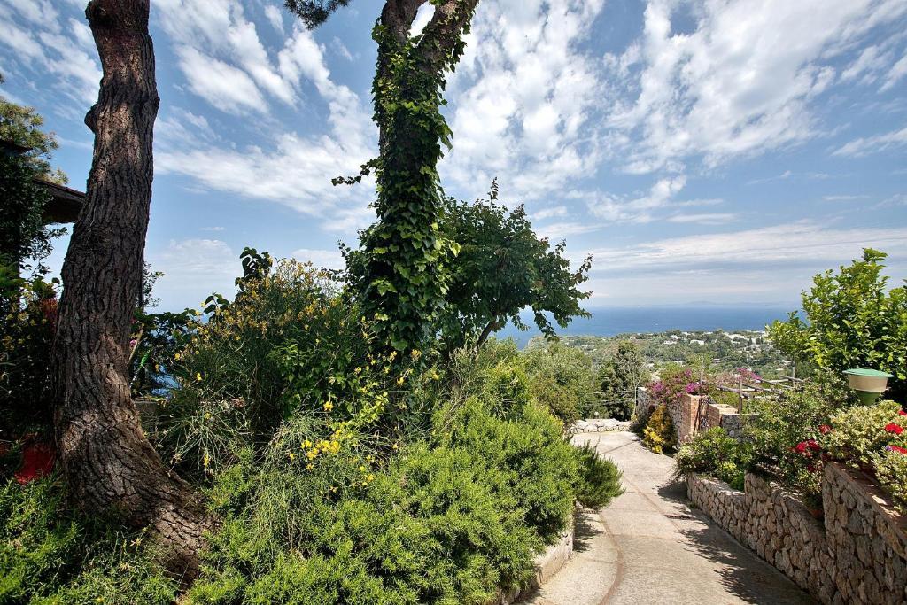 Le Ginestre Di Capri Bb & Holiday House 아나카프리 외부 사진