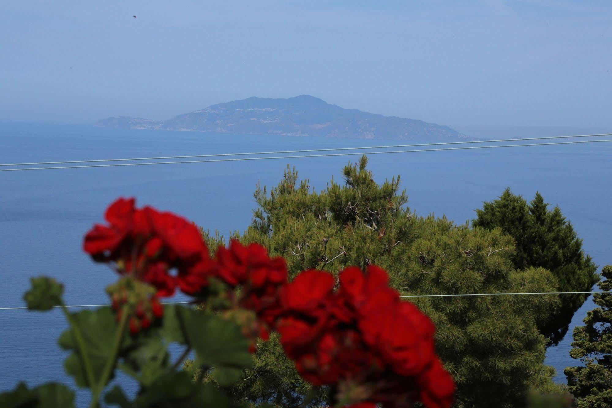 Le Ginestre Di Capri Bb & Holiday House 아나카프리 외부 사진